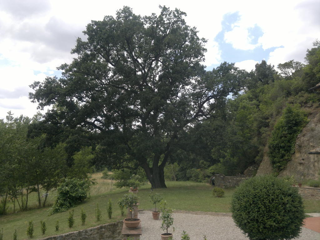 Villa Loghino Volterra Exterior foto